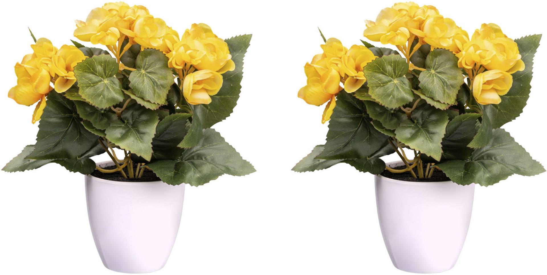 Creativ green Kunstblume »Begonienbusch« Creativ green Kunstblume »Begonienbusch« von Creativ green