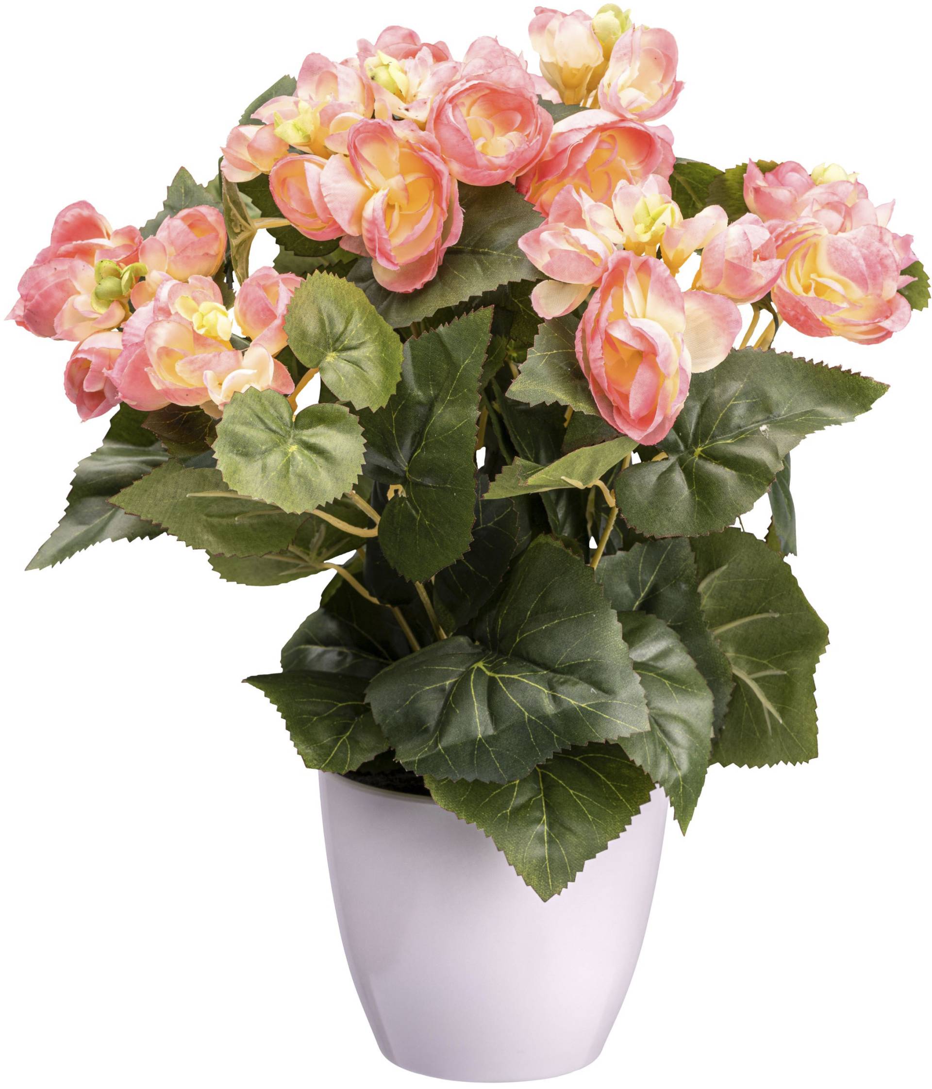 Creativ green Kunstblume »Begonienbusch« Creativ green Kunstblume »Begonienbusch« von Creativ green