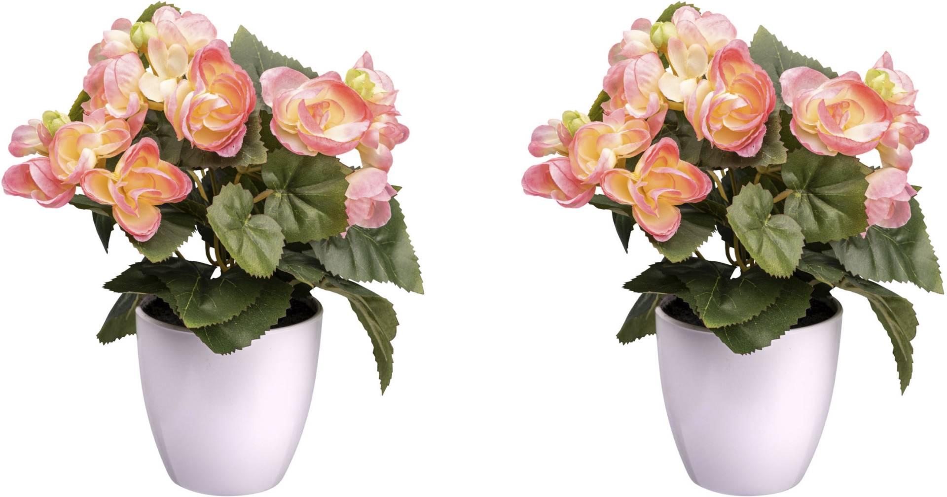 Creativ green Kunstblume »Begonienbusch« Creativ green Kunstblume »Begonienbusch« von Creativ green