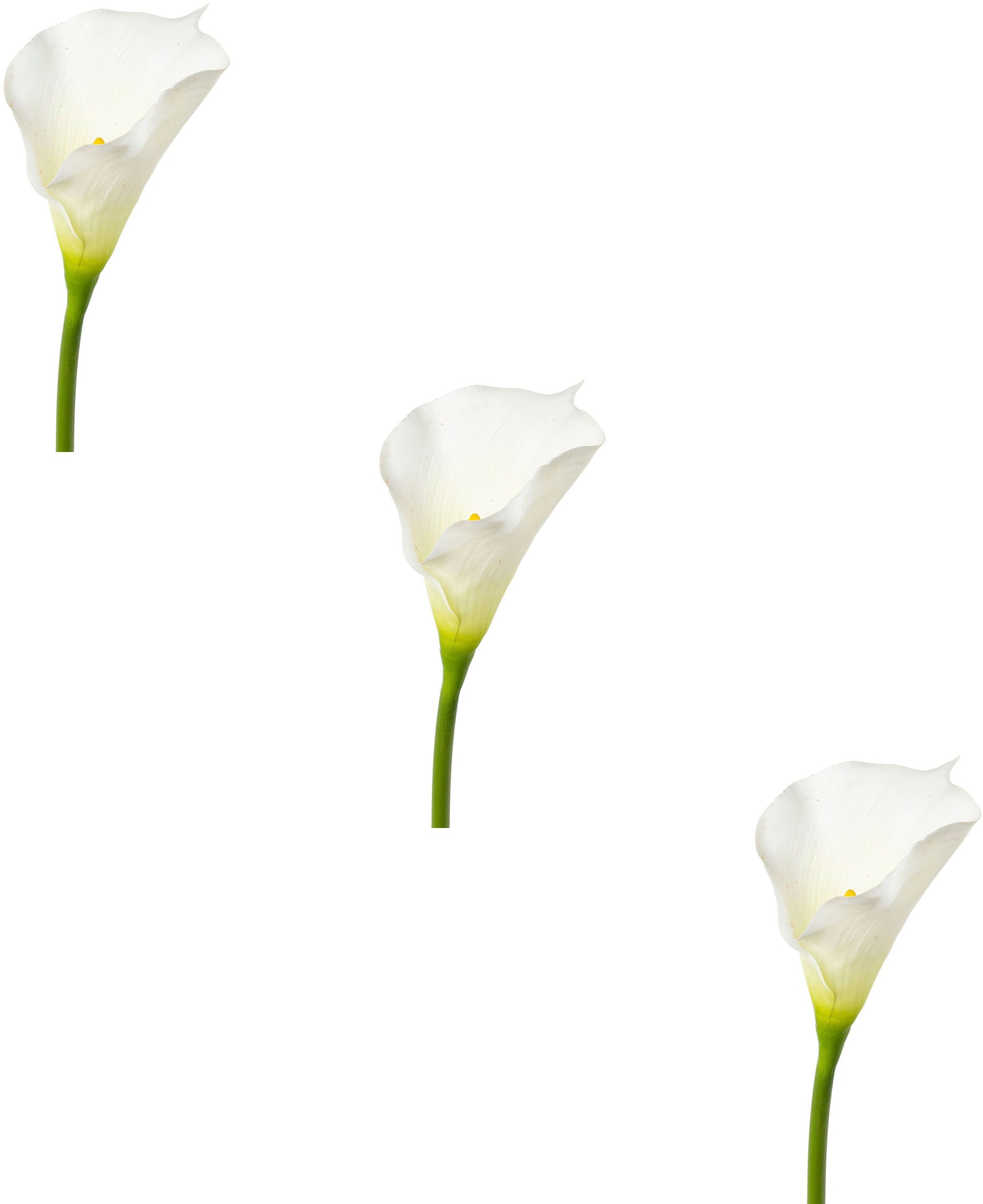 Creativ green Kunstblume »Calla« von Creativ green