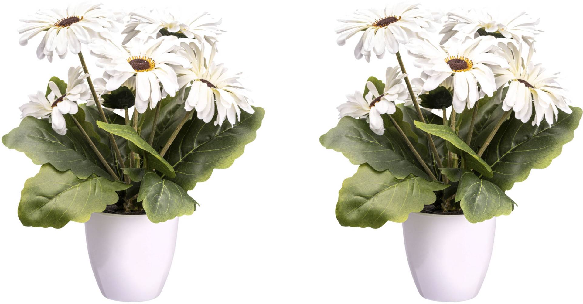 Creativ green Kunstblume »Gerberabusch« Creativ green Kunstblume »Gerberabusch« von Creativ green