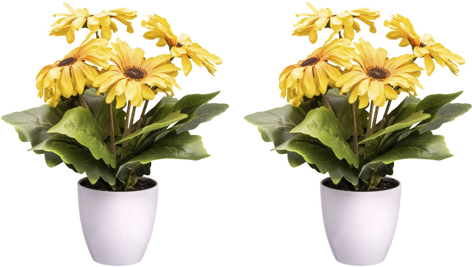 Creativ green Kunstblume »Gerberabusch« Creativ green Kunstblume »Gerberabusch« von Creativ green