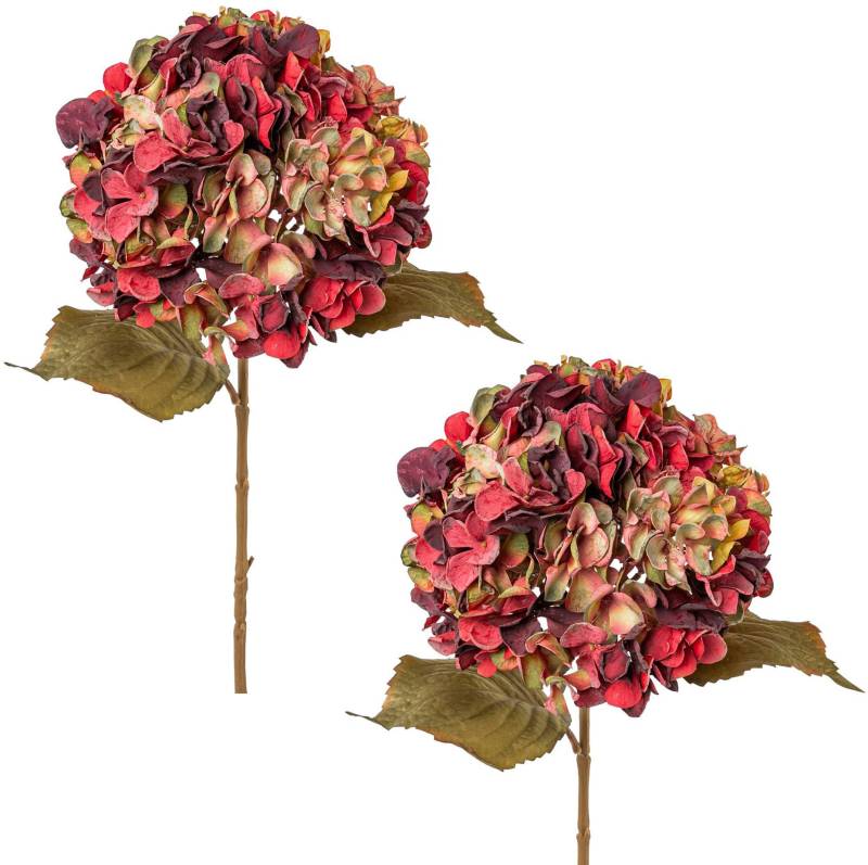 Creativ green Kunstblume »Hortensie« von Creativ green