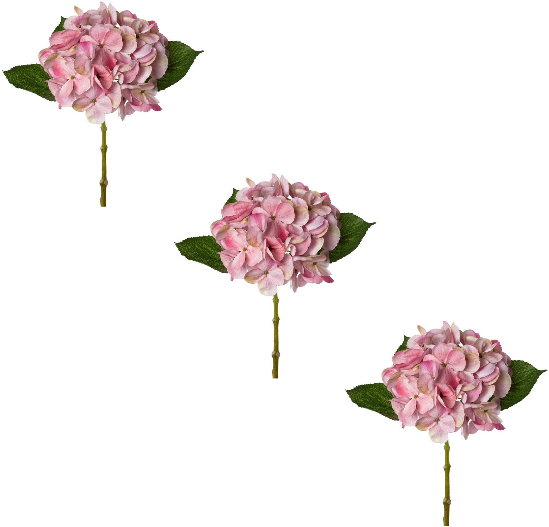 Creativ green Kunstblume »Hortensie« Creativ green Kunstblume »Hortensie« von Creativ green