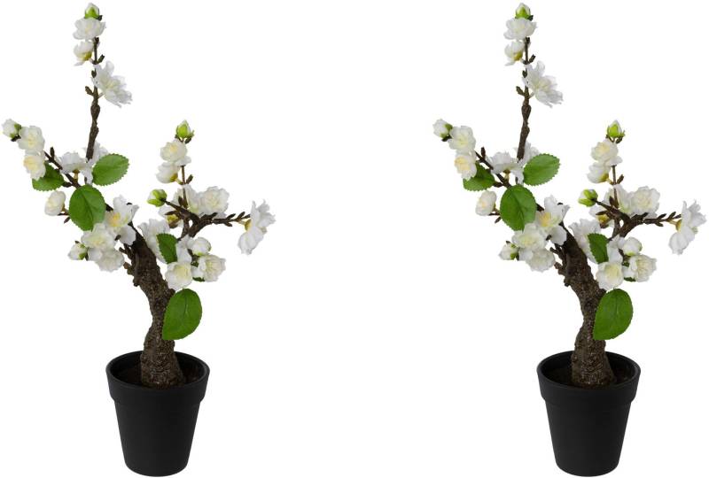 Creativ green Kunstblume »Kirschblütenbonsai« von Creativ green