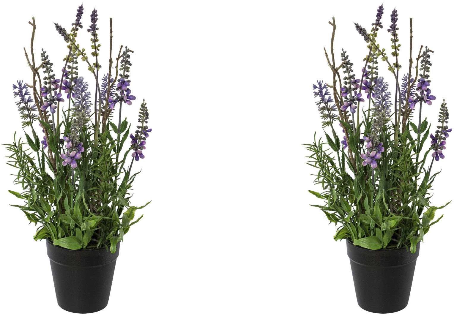 Creativ green Kunstblume »Lavendel im Topf« Creativ green Kunstblume »Lavendel im Topf« von Creativ green