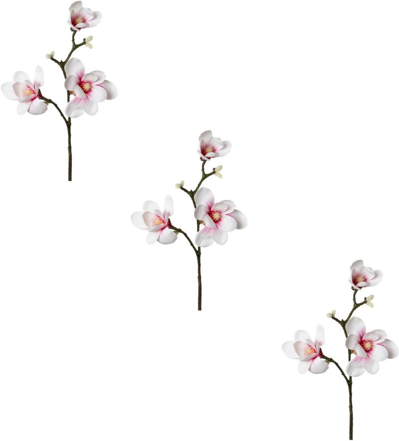 Creativ green Kunstblume »Magnolie« Creativ green Kunstblume »Magnolie« von Creativ green