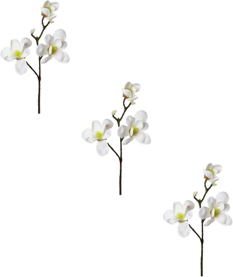 Creativ green Kunstblume »Magnolie« von Creativ green