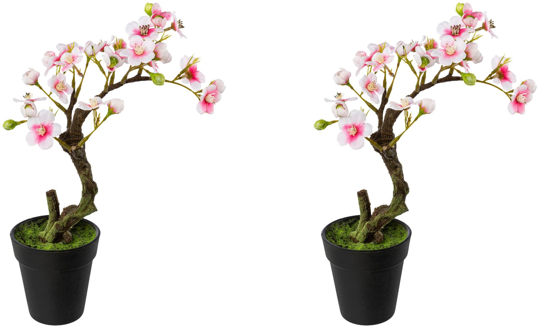 Creativ green Kunstblume »Mandelbonsai im Topf« Creativ green Kunstblume »Mandelbonsai im Topf« von Creativ green