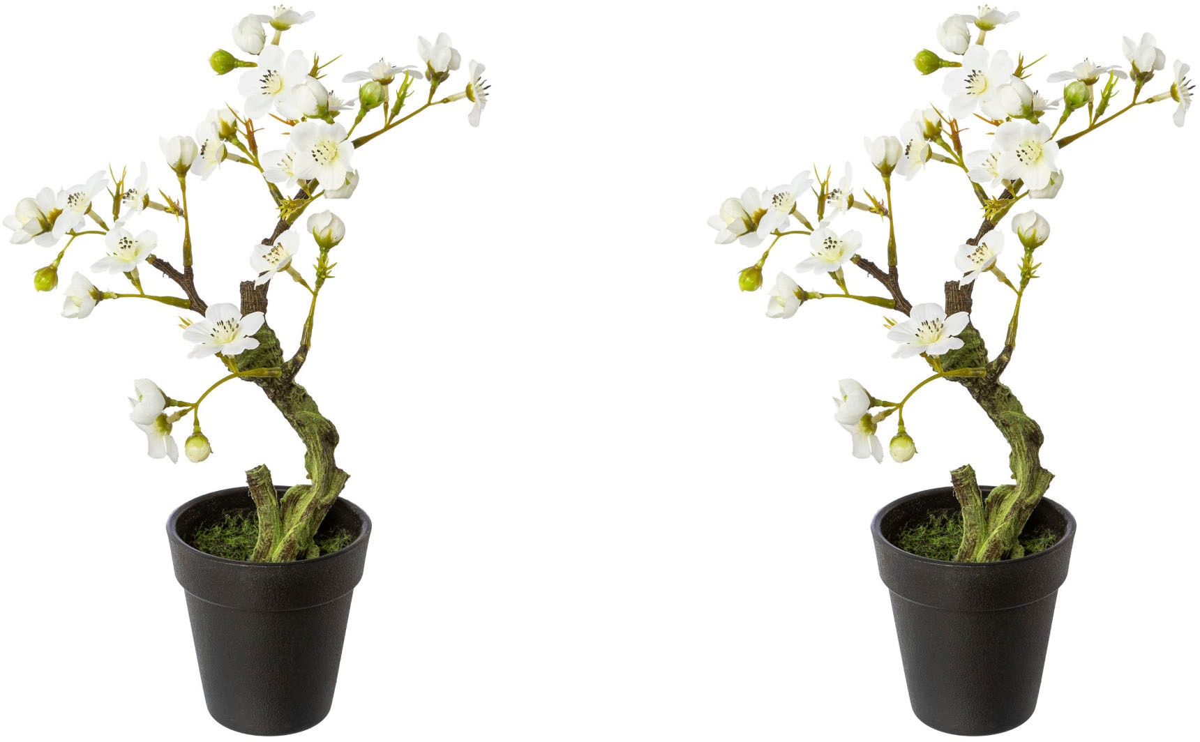 Creativ green Kunstblume »Mandelbonsai im Topf« Creativ green Kunstblume »Mandelbonsai im Topf« von Creativ green