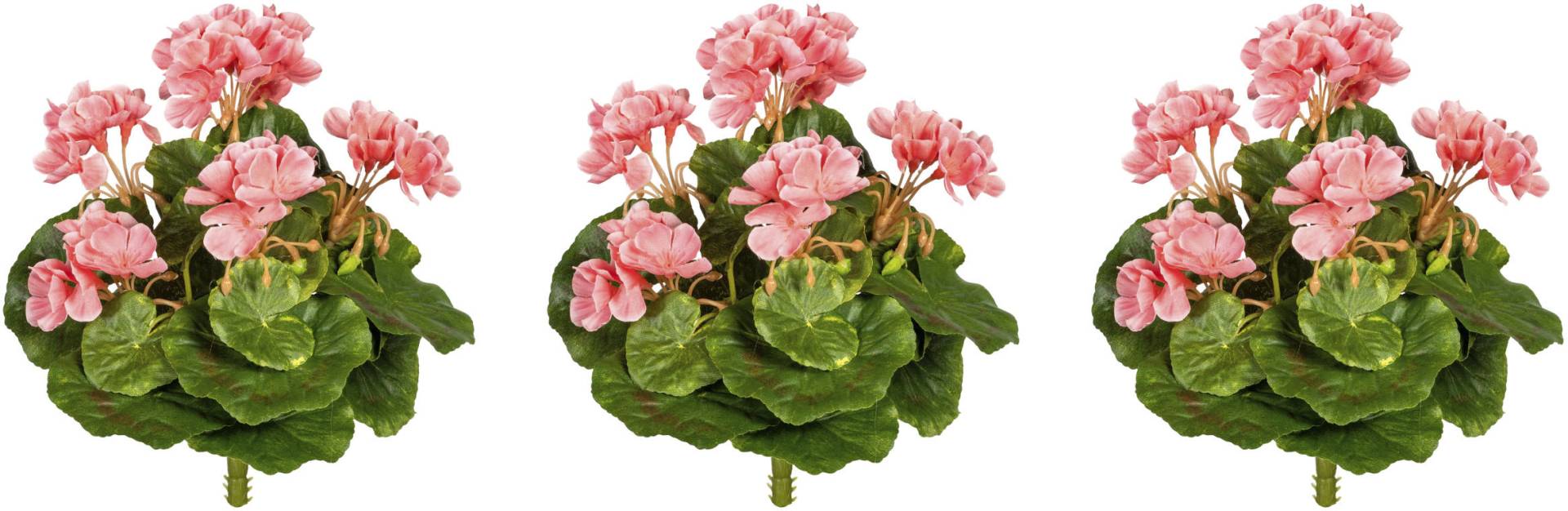 Creativ green Kunstblume »Minigeranie« Creativ green Kunstblume »Minigeranie« von Creativ green