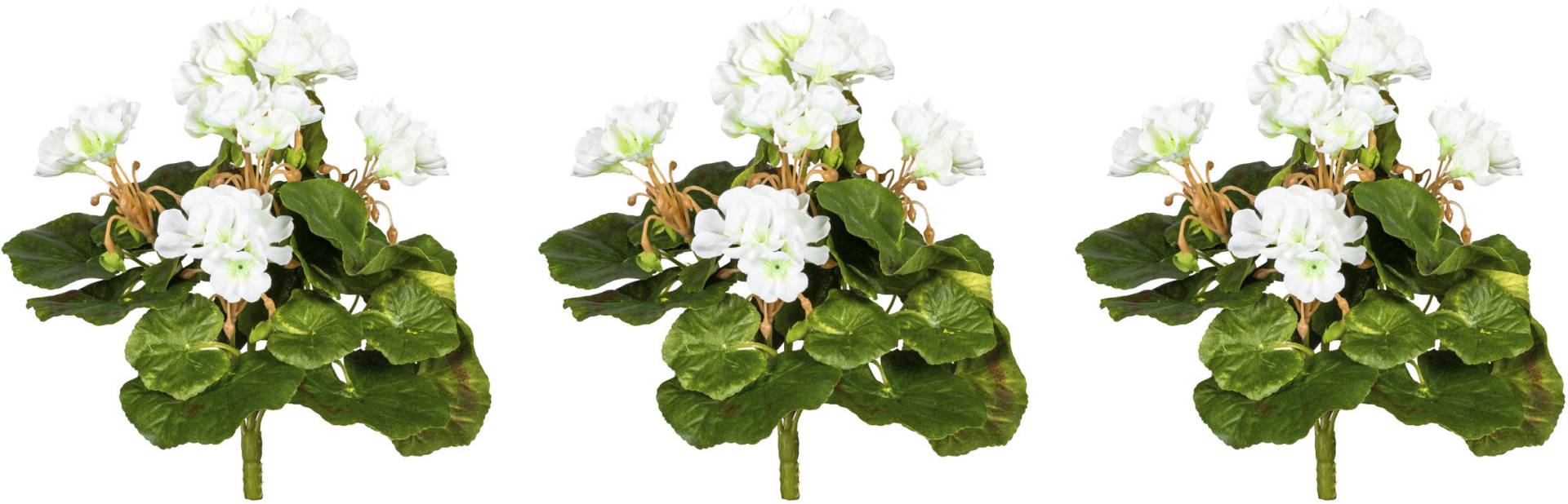 Creativ green Kunstblume »Minigeranie« Creativ green Kunstblume »Minigeranie« von Creativ green