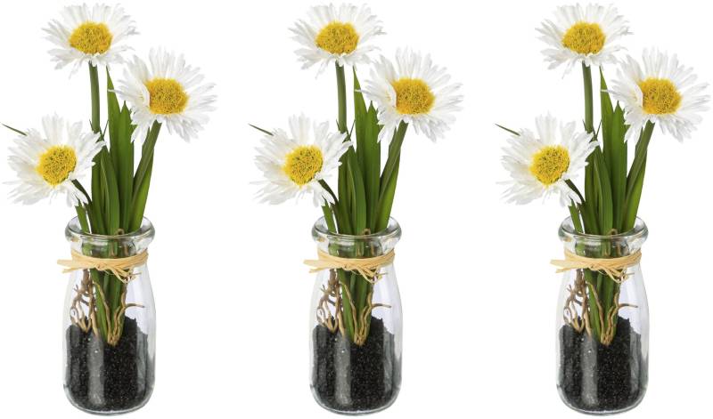 Creativ green Kunstblume »Margeritte im Glas« von Creativ green