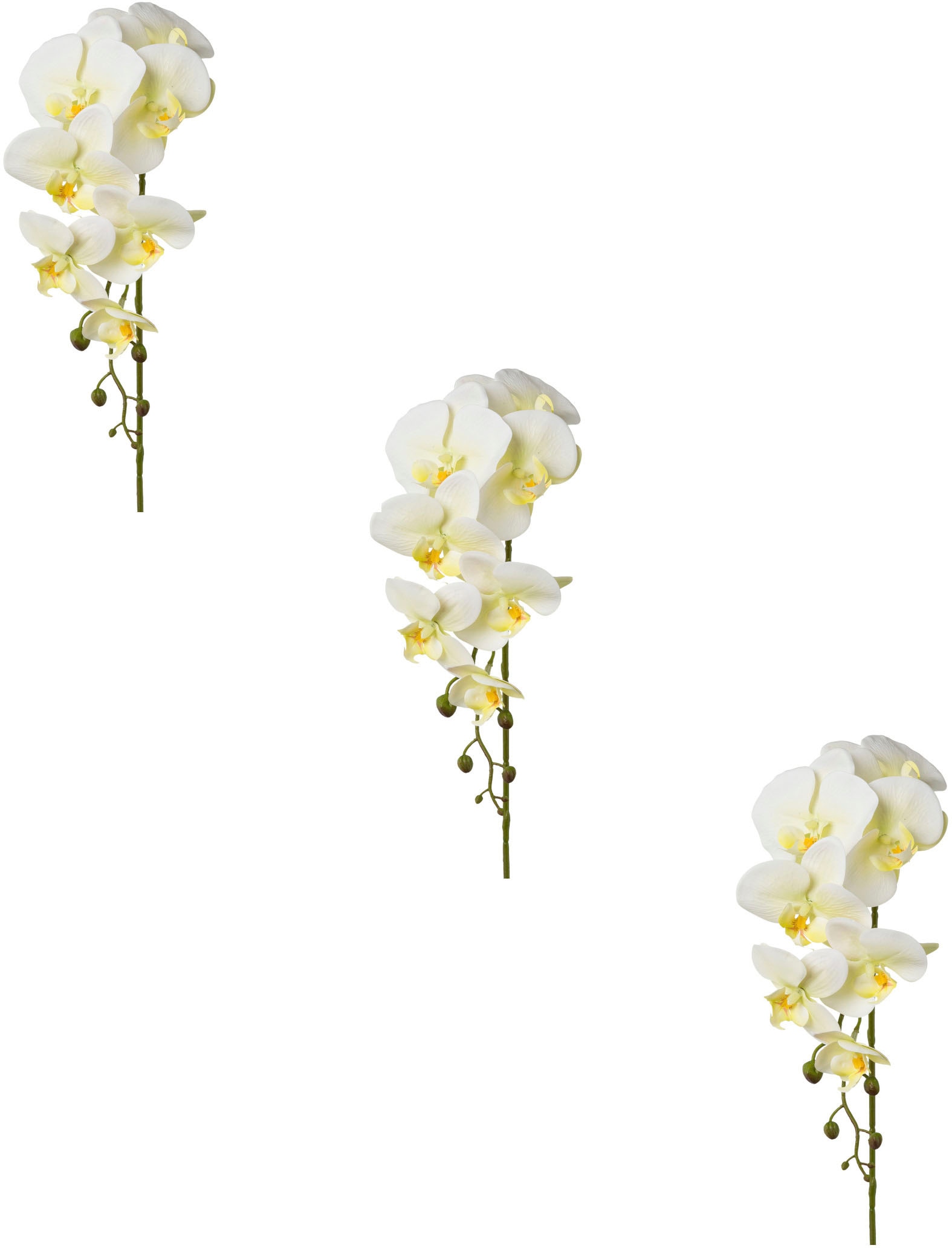 Creativ green Kunstblume »Orchidee Phalaenopsis« von Creativ green