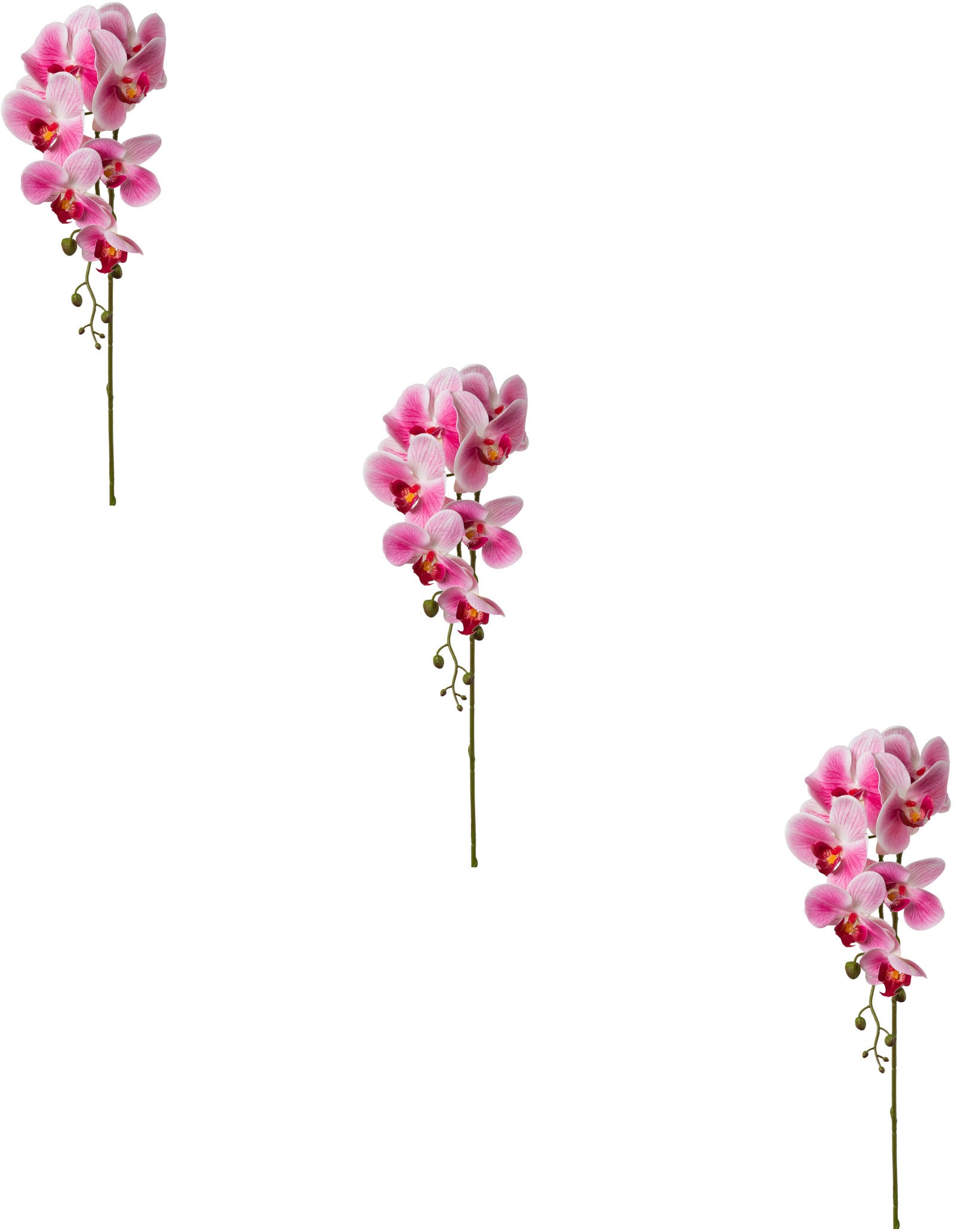 Creativ green Kunstblume »Orchidee Phalaenopsis« Creativ green Kunstblume »Orchidee Phalaenopsis« von Creativ green