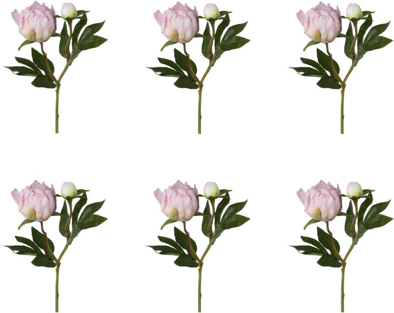 Creativ green Kunstblume »Peonie« Creativ green Kunstblume »Peonie« von Creativ green