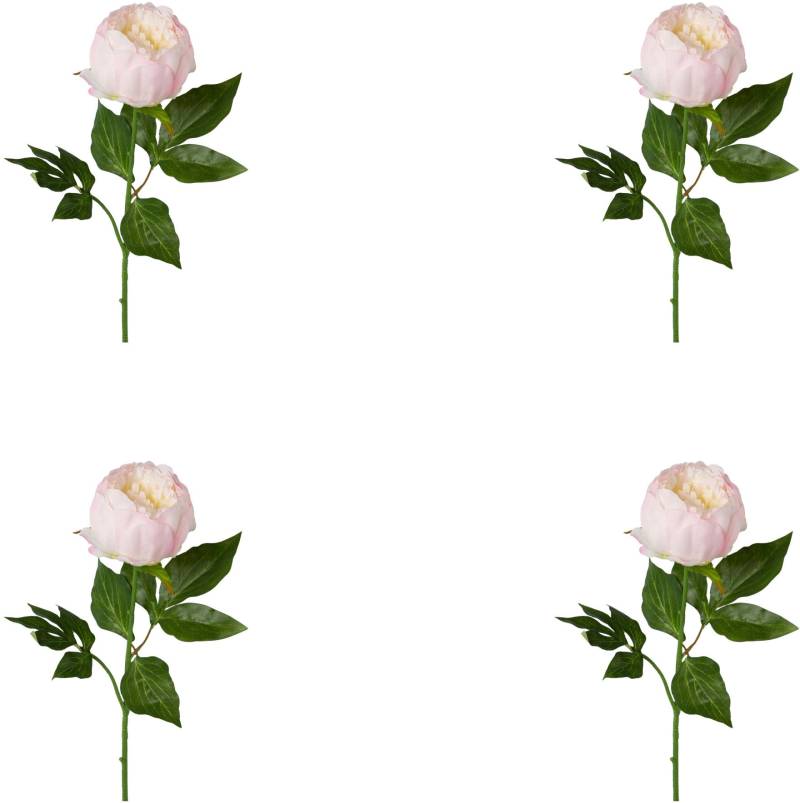Creativ green Kunstblume »Peonie« Creativ green Kunstblume »Peonie« von Creativ green