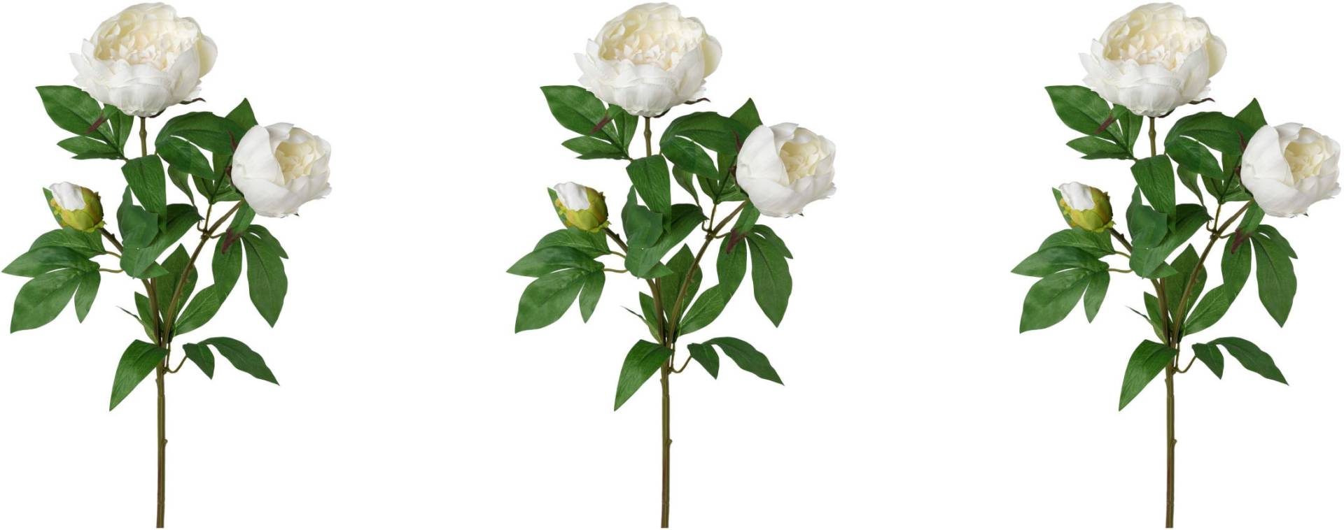 Creativ green Kunstblume »Peonienzweig« Creativ green Kunstblume »Peonienzweig« von Creativ green