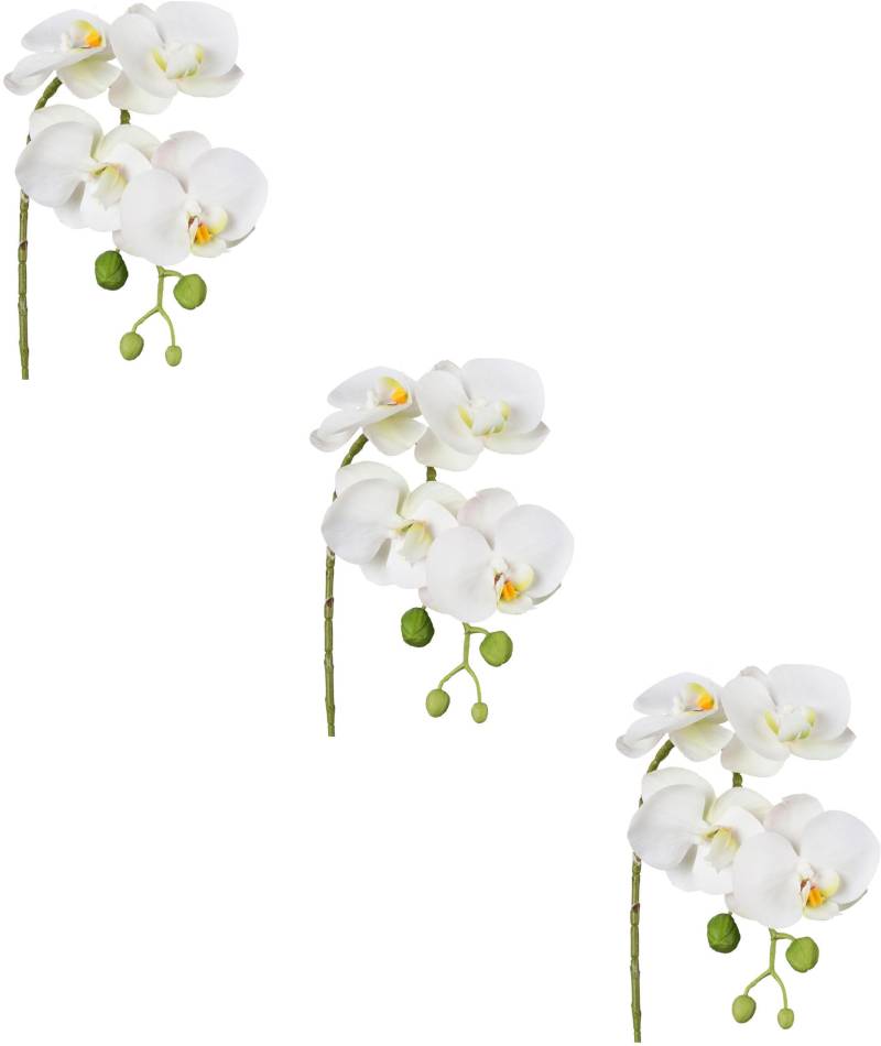 Creativ green Kunstblume »Phalaenopsis 3D-print«, mit Real-Touch-Blüten von Creativ green