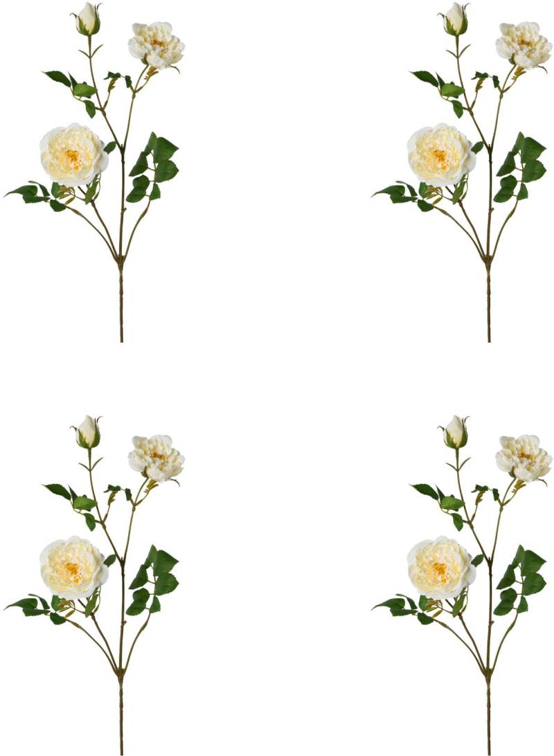 Creativ green Kunstblume »Rosenzweig« Creativ green Kunstblume »Rosenzweig« von Creativ green