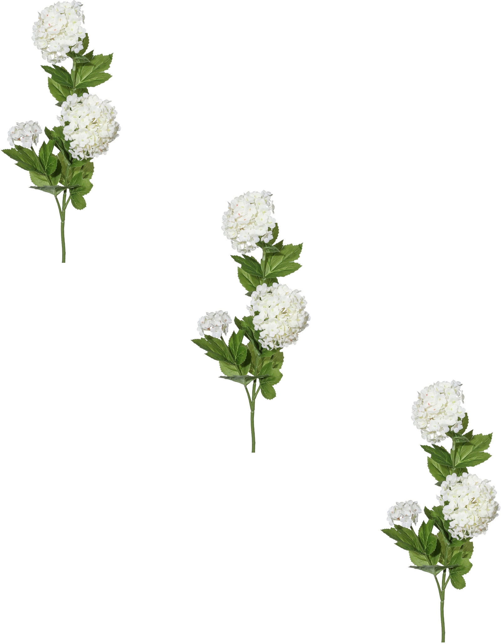 Creativ green Kunstblume »Schneeballzweig« Creativ green Kunstblume »Schneeballzweig« von Creativ green