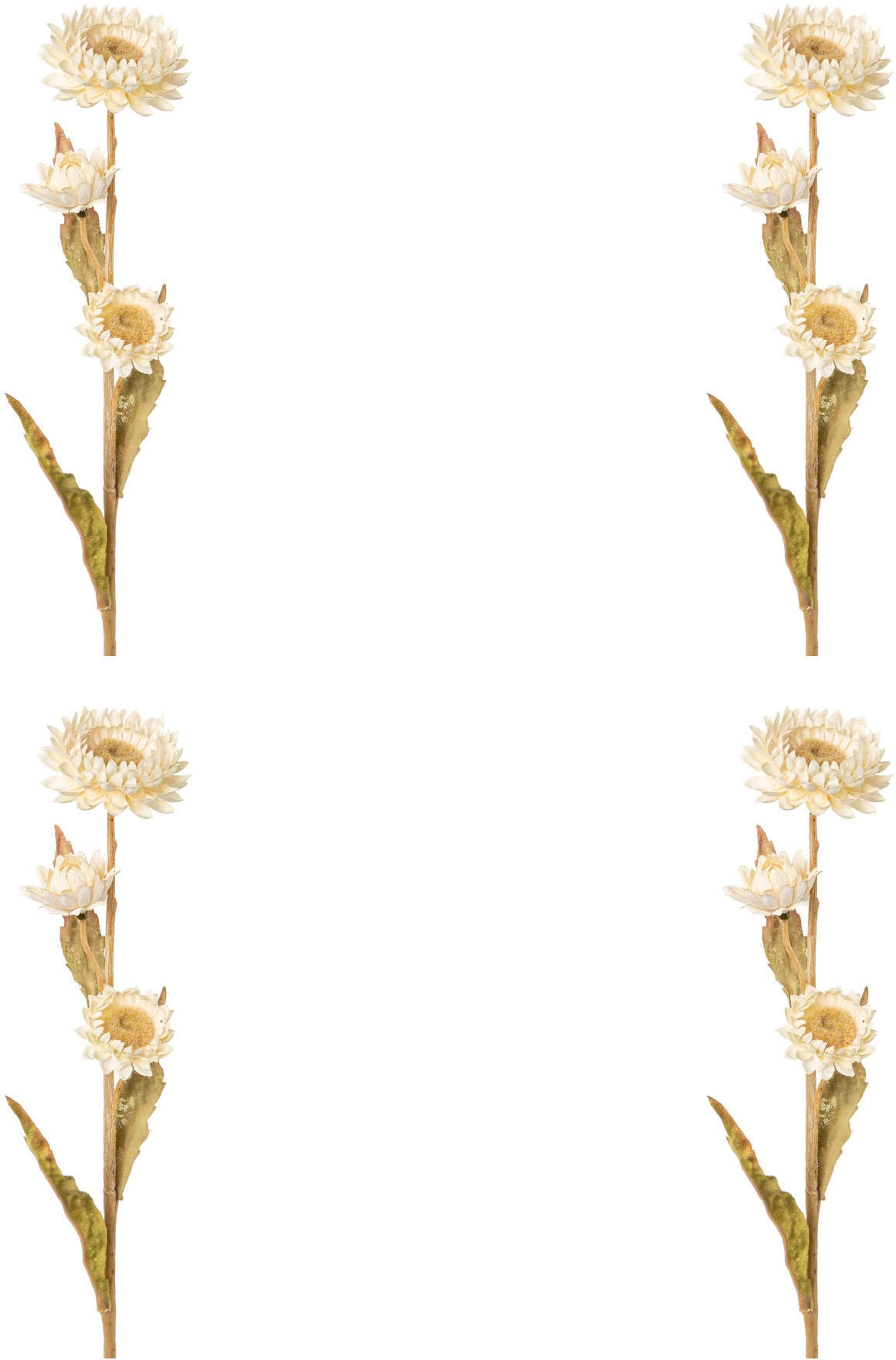 Creativ green Kunstblume »Strohblume« Creativ green Kunstblume »Strohblume« von Creativ green