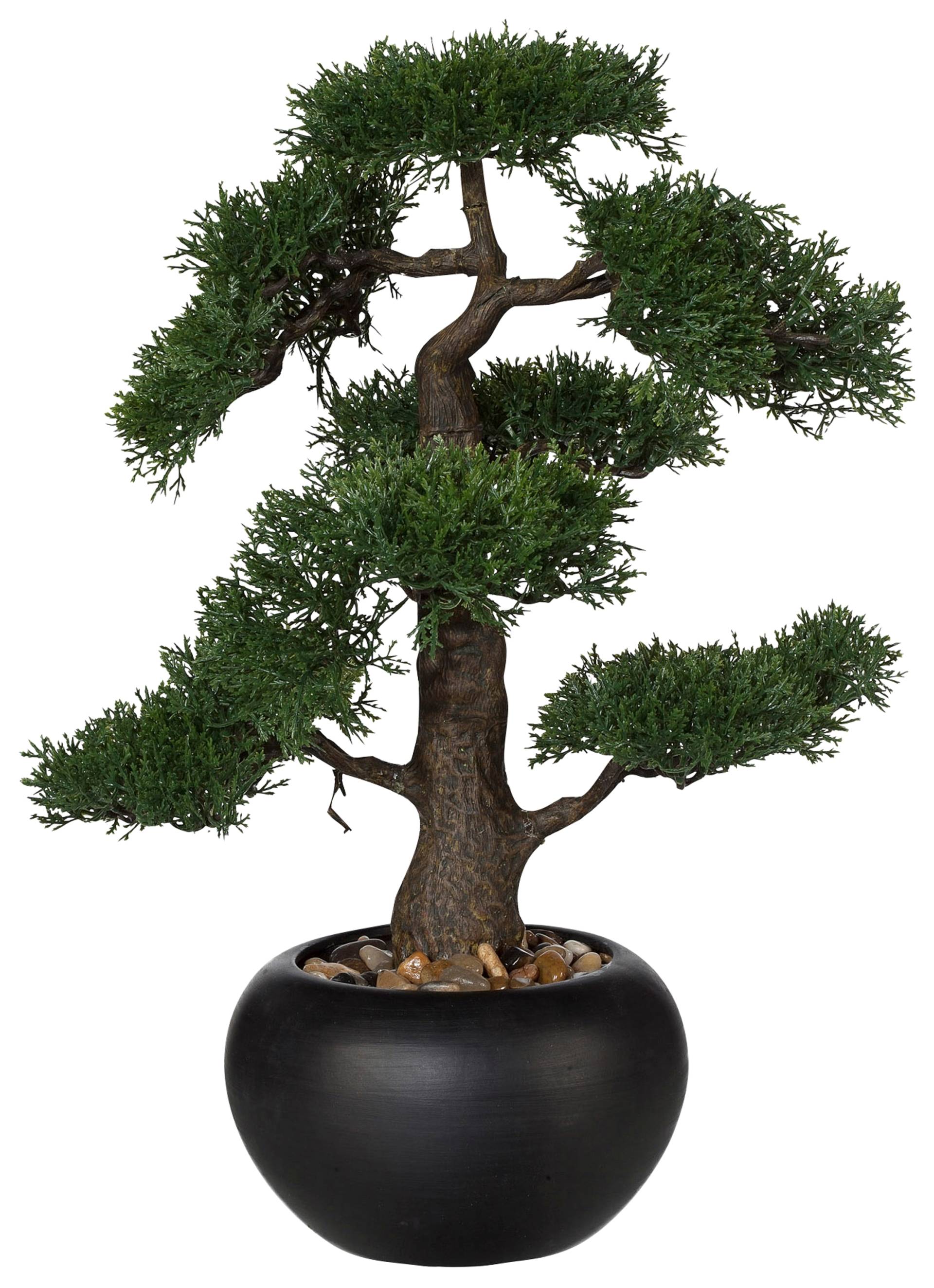 Creativ green Kunstpflanze »Bonsai« von Creativ green