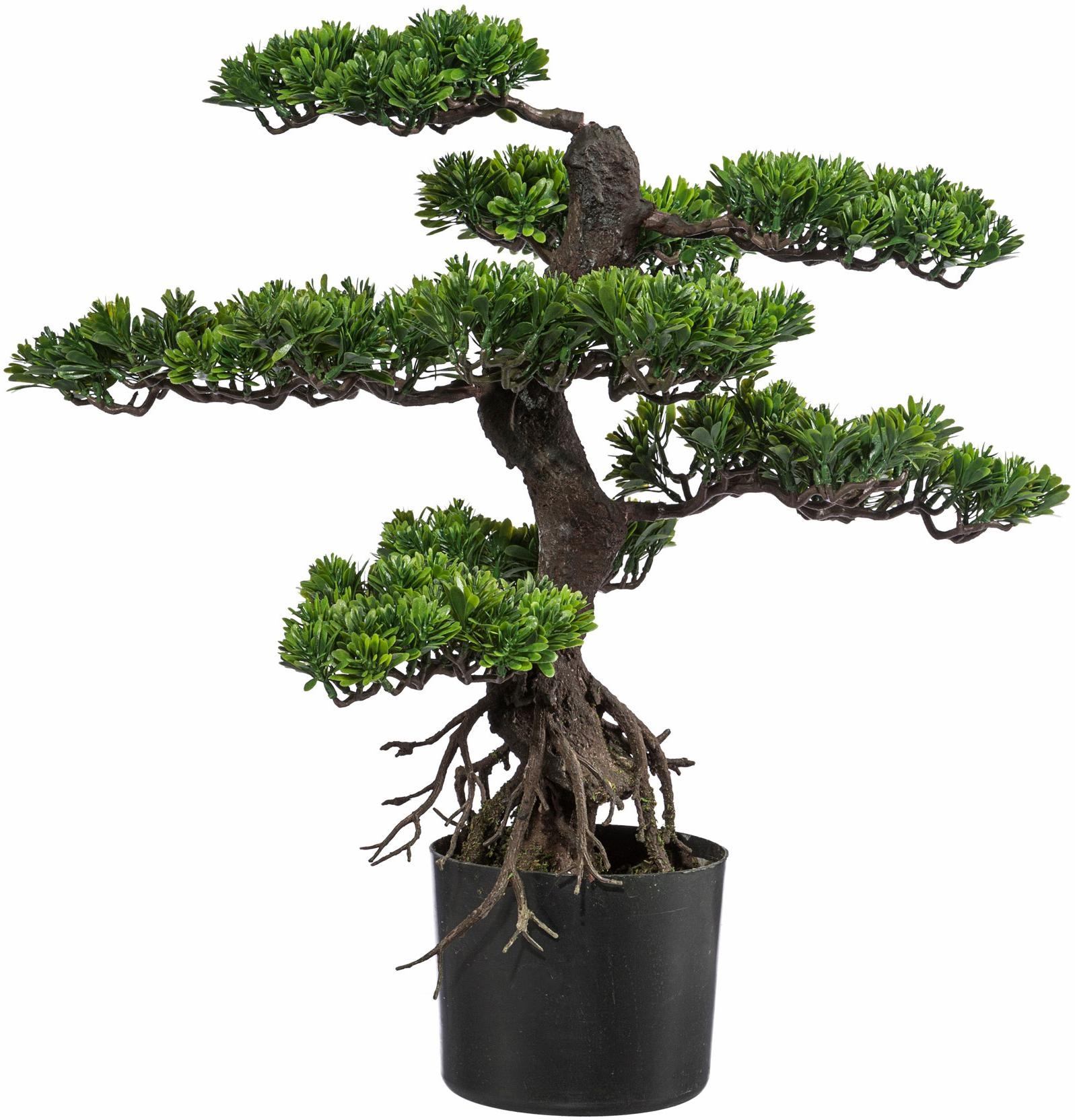 Creativ green Kunstbonsai »Bonsai« von Creativ green