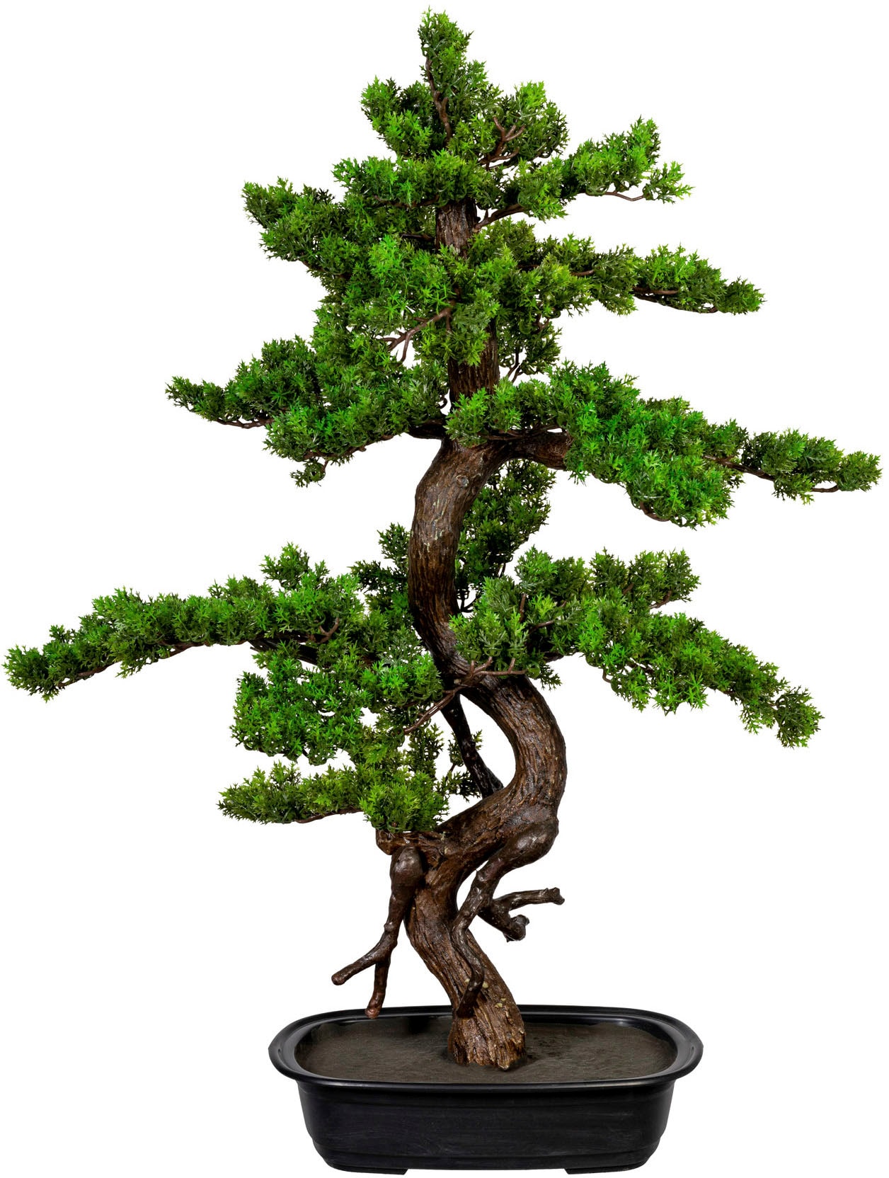 Creativ green Kunstbonsai »Bonsai« von Creativ green