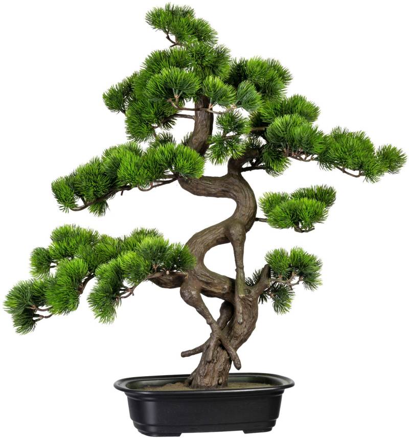 Creativ green Kunstbonsai »Bonsai Kiefer« von Creativ green