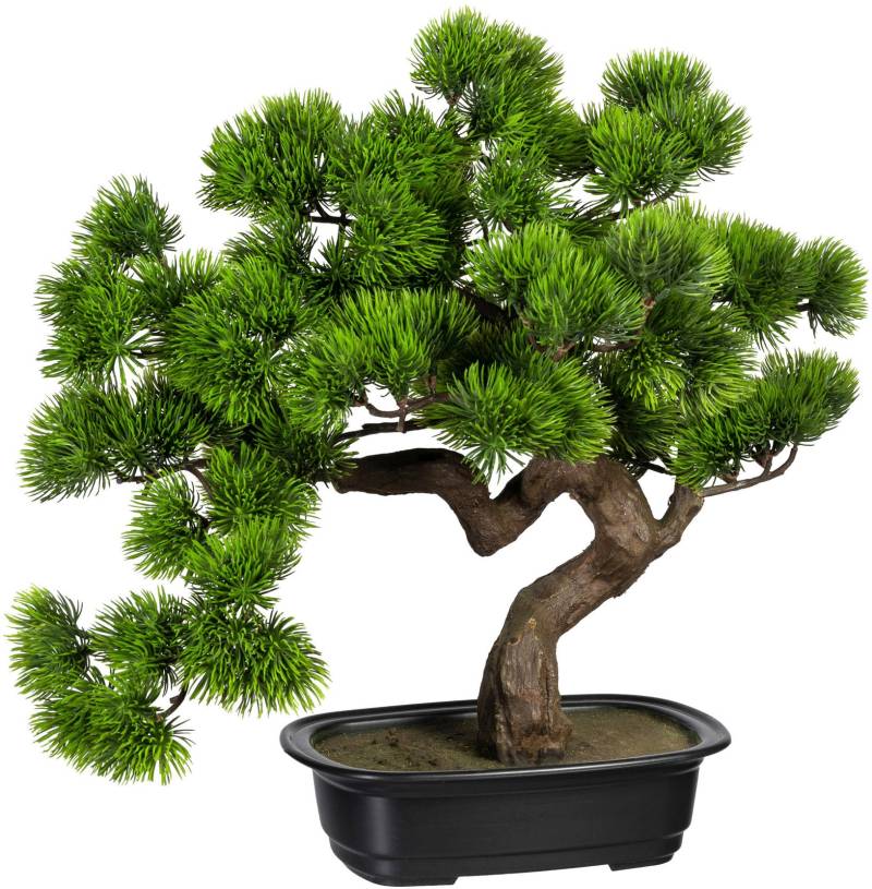 Creativ green Kunstbonsai »Bonsai Kiefer« von Creativ green