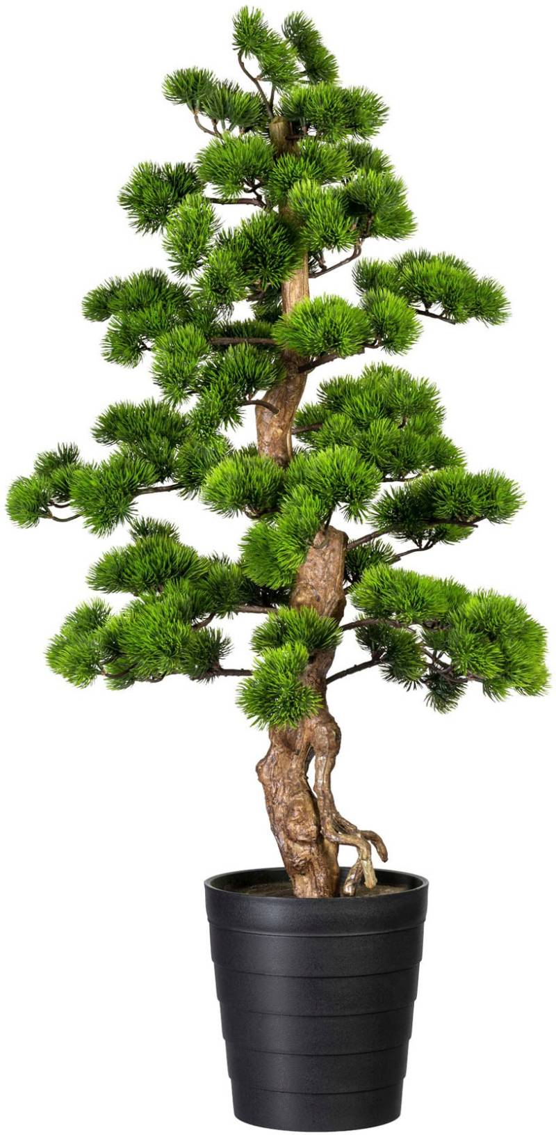 Creativ green Kunstbonsai »Bonsai Kiefer« von Creativ green