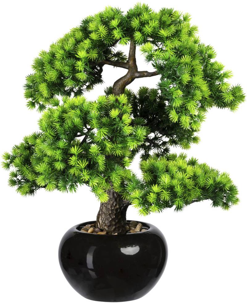 Creativ green Kunstbonsai »Bonsai Lärche«, im Keramiktopf von Creativ green