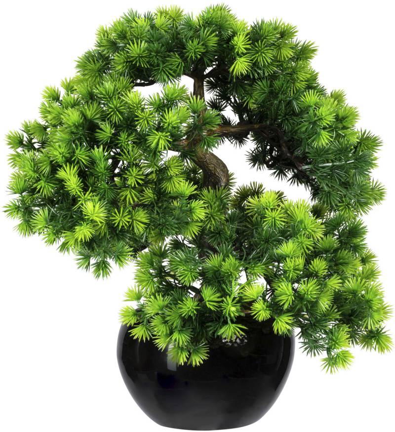 Creativ green Kunstbonsai »Bonsai Lärche«, im Keramiktopf von Creativ green