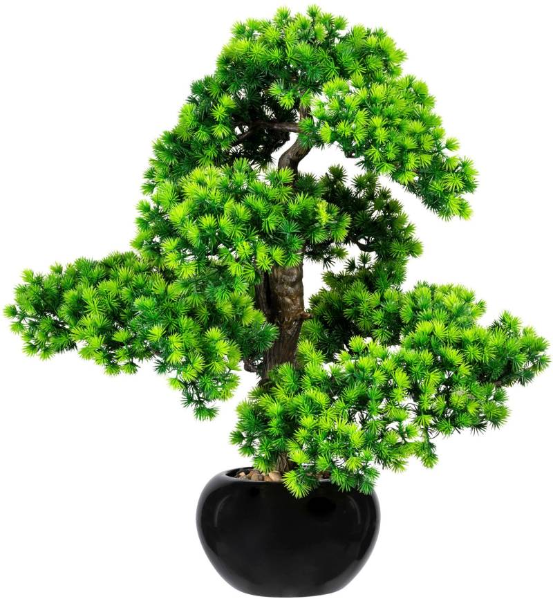 Creativ green Kunstbonsai »Bonsai Lärche«, im Keramiktopf von Creativ green