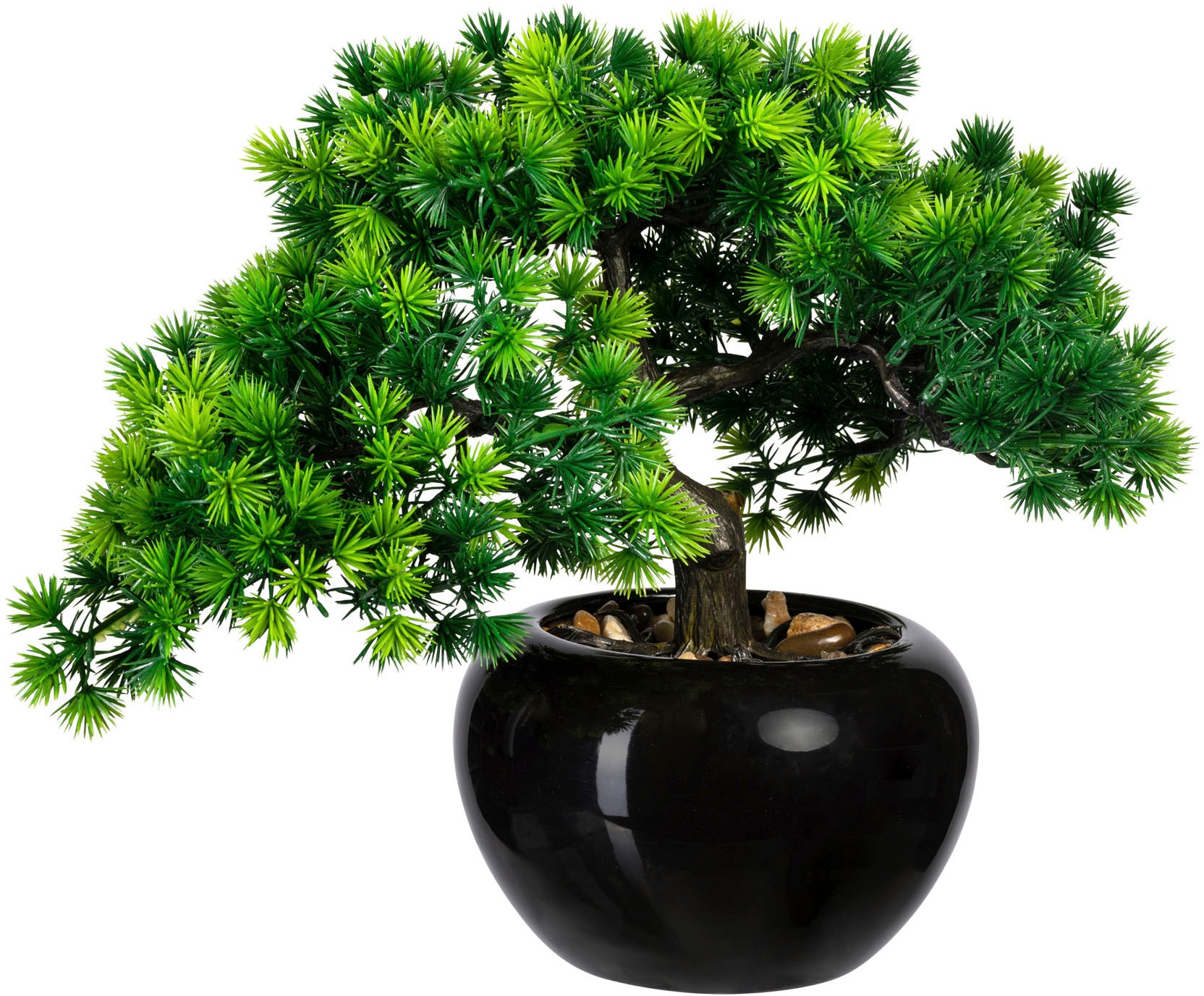 Creativ green Kunstbonsai »Bonsai Lärche«, im Keramiktopf von Creativ green