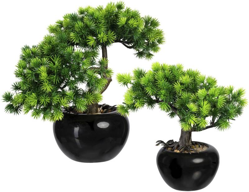 Creativ green Kunstbonsai »Bonsai Lärche«, im Keramiktopf, 2er Set von Creativ green