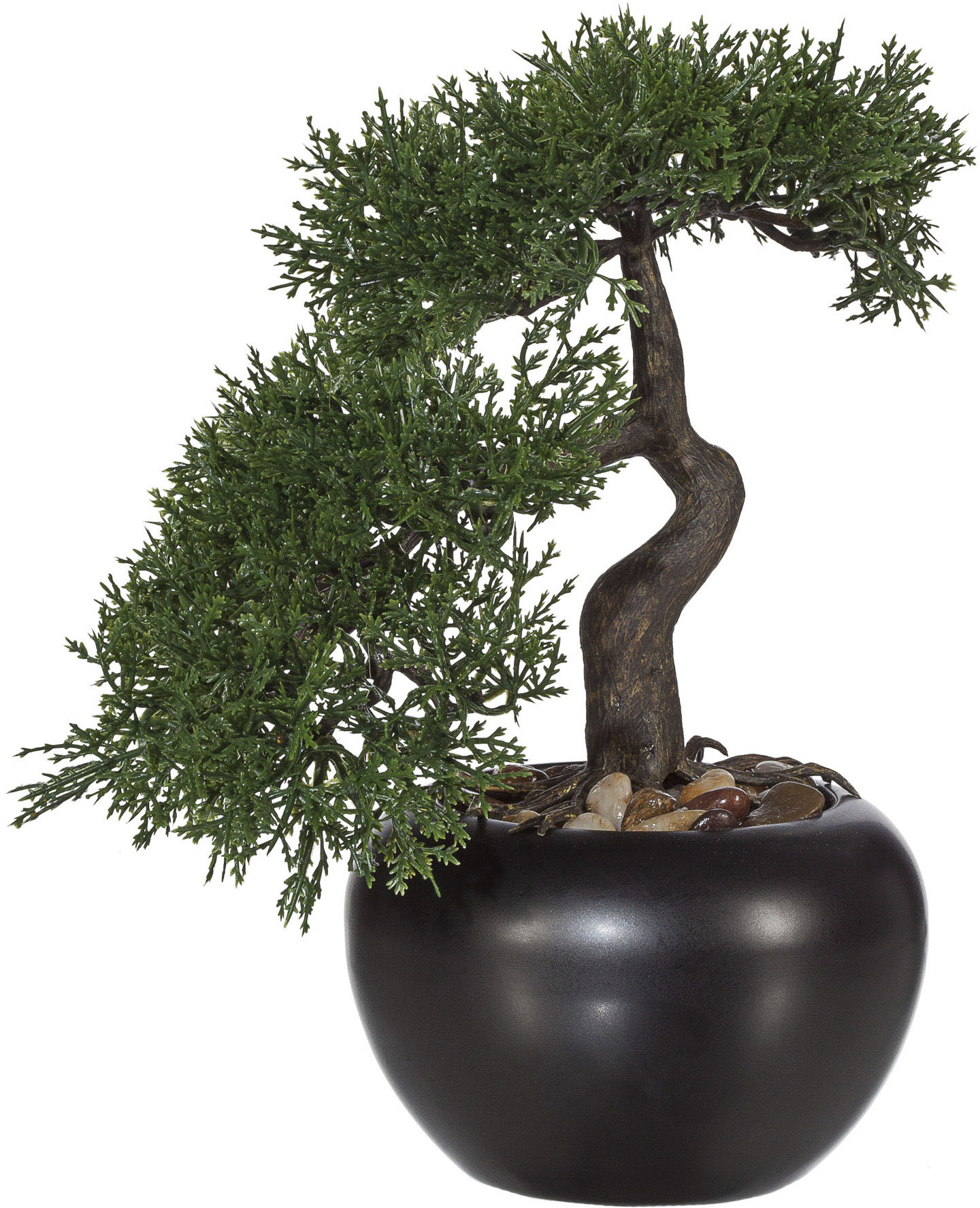 Creativ green Kunstbonsai »Bonsai Zeder im Keramiktopf« von Creativ green