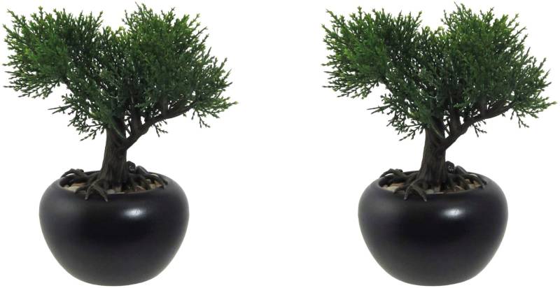 Creativ green Kunstbonsai »Bonsai Zeder im Keramiktopf« von Creativ green