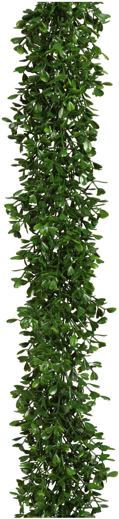 Creativ green Kunstgirlande »Buchsbaumgirlande« Creativ green Kunstgirlande »Buchsbaumgirlande« von Creativ green