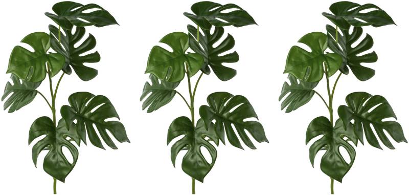 Creativ green Kunstgirlande »Split-Philodendron-Zweig« von Creativ green