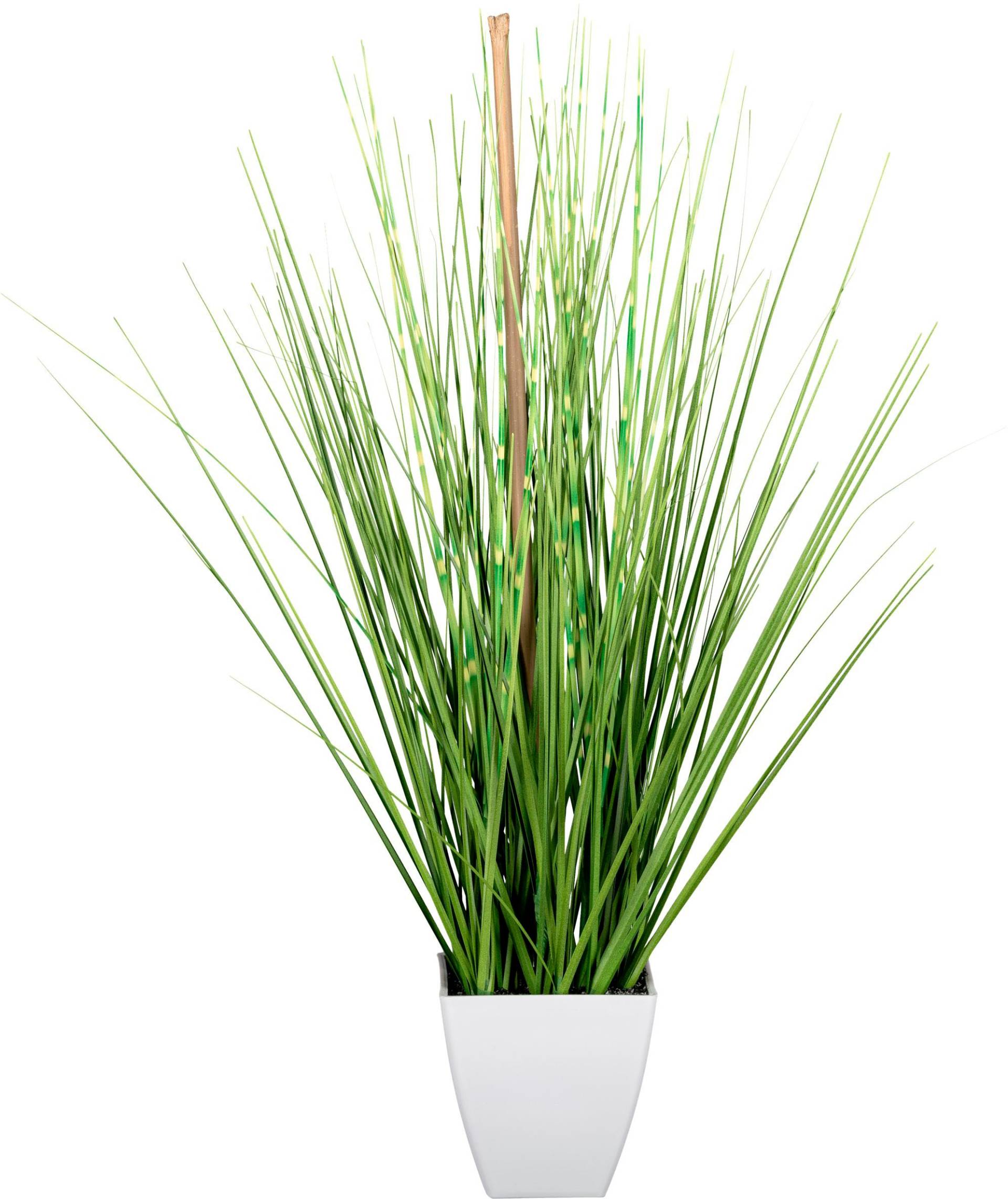 Creativ green Kunstgras »Grasbusch«, im weissen Topf Creativ green Kunstgras »Grasbusch«, im weissen Topf von Creativ green