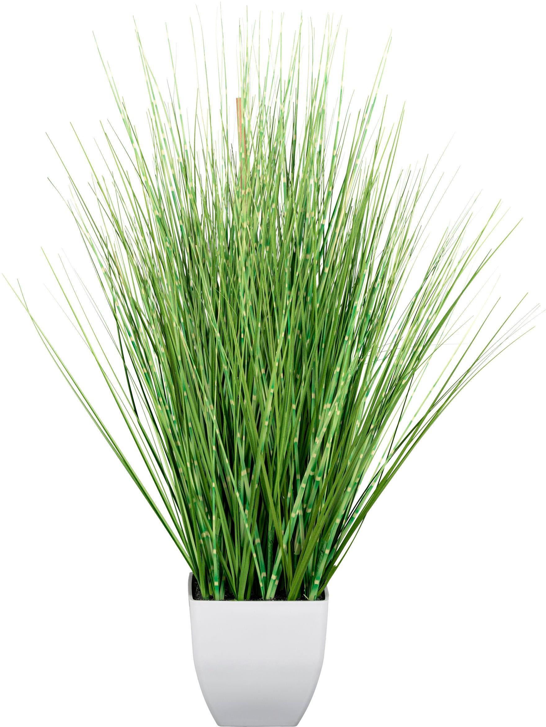 Creativ green Kunstgras »Grasbusch«, im weissen Topf Creativ green Kunstgras »Grasbusch«, im weissen Topf von Creativ green