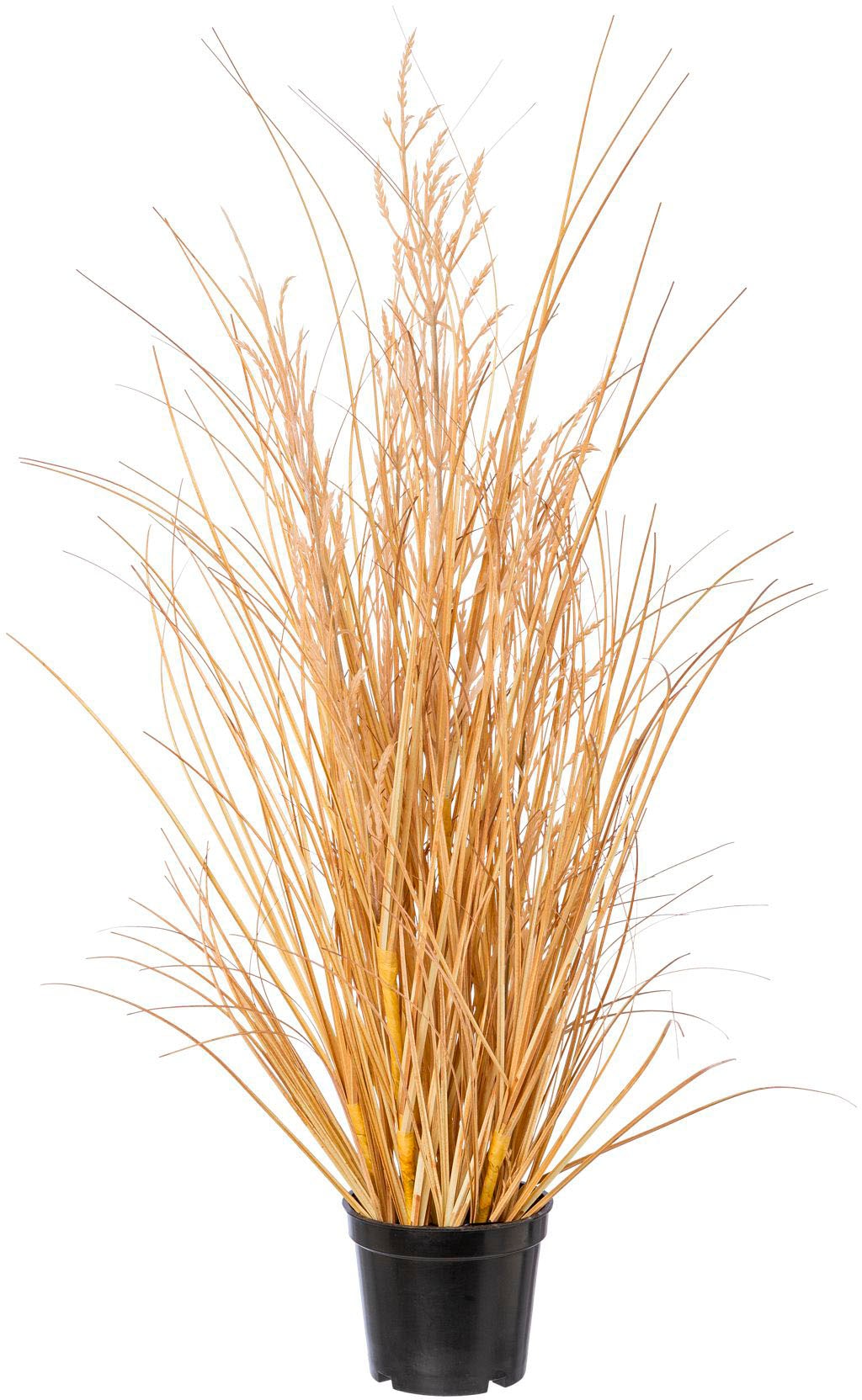 Creativ green Kunstgras »Grasbusch Carex« Creativ green Kunstgras »Grasbusch Carex« von Creativ green