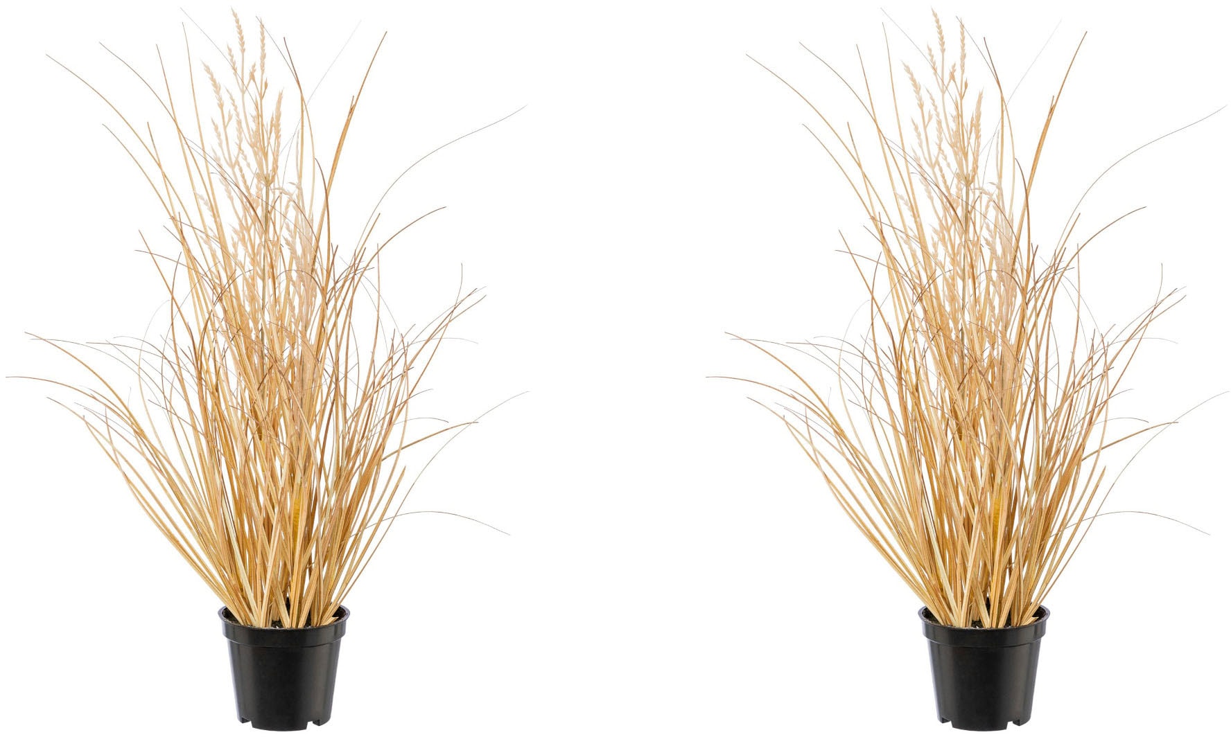Creativ green Kunstgras »Grasbusch Carex« Creativ green Kunstgras »Grasbusch Carex« von Creativ green