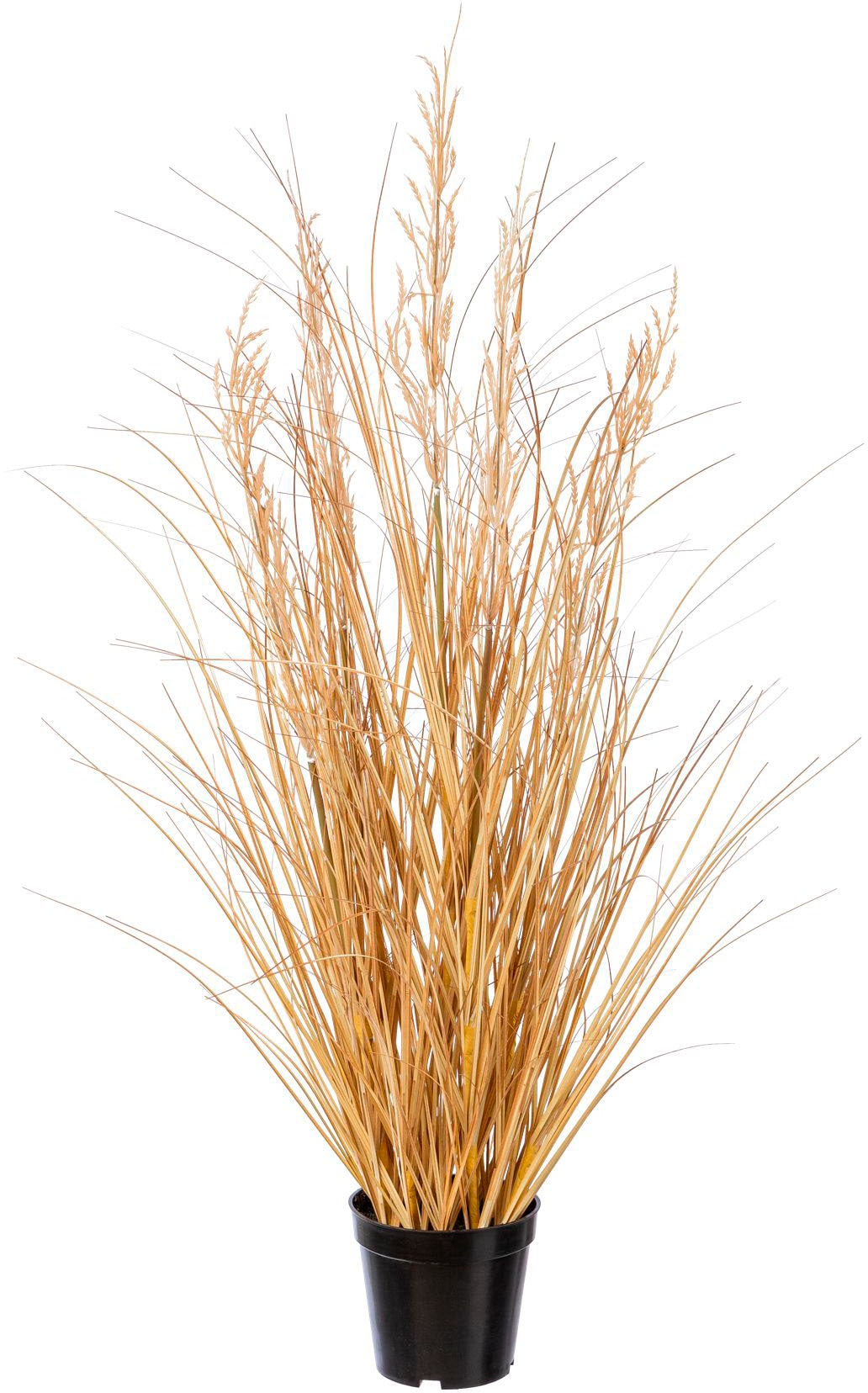 Creativ green Kunstgras »Grasbusch Carex« Creativ green Kunstgras »Grasbusch Carex« von Creativ green
