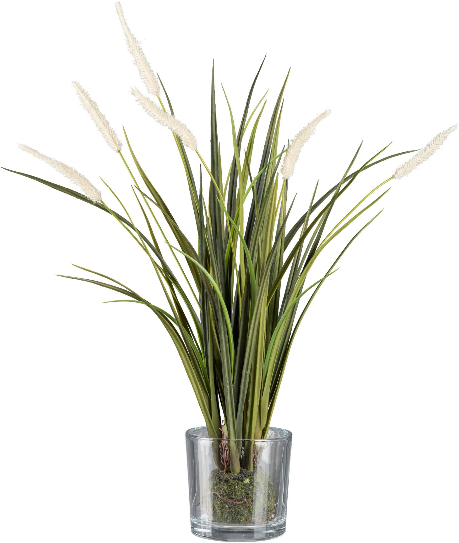 Creativ green Kunstgras »Grasbusch Miscanthus im Erdballen mit Glas« Creativ green Kunstgras »Grasbusch Miscanthus im Erdballen mit Glas« von Creativ green