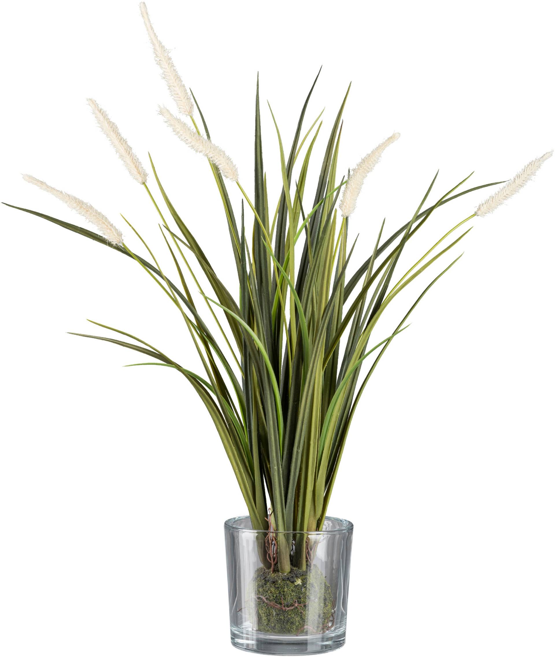 Creativ green Kunstgras »Grasbusch Miscanthus im Erdballen mit Glas« von Creativ green