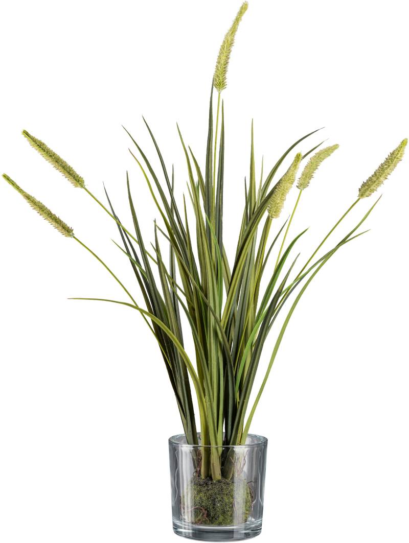 Creativ green Kunstgras »Grasbusch Miscanthus im Erdballen mit Glas« von Creativ green