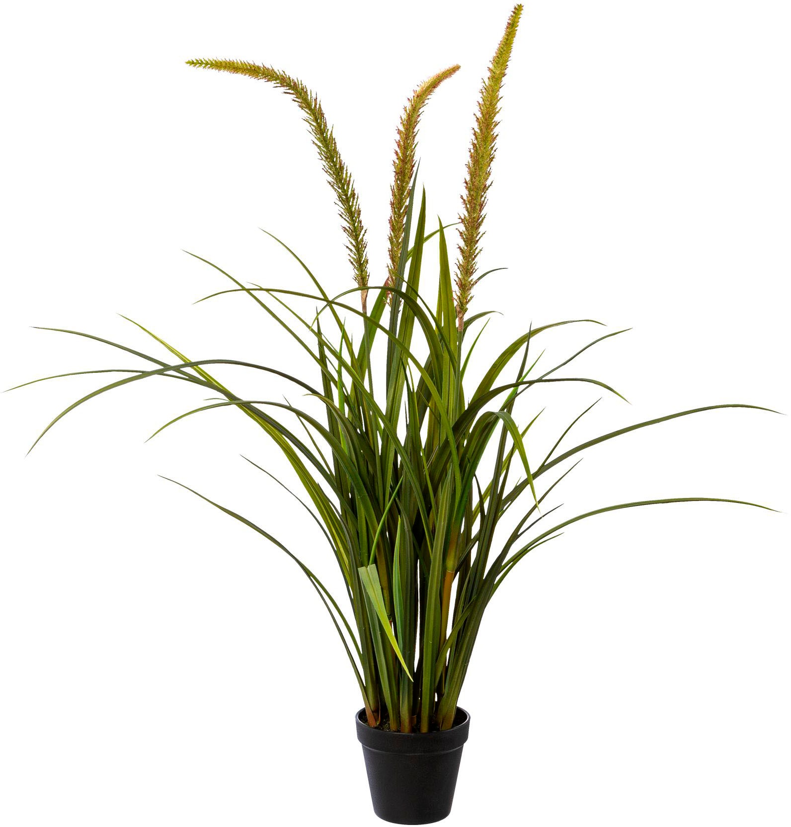 Creativ green Kunstgras »Grasbusch Miscanthus im Topf« Creativ green Kunstgras »Grasbusch Miscanthus im Topf« von Creativ green